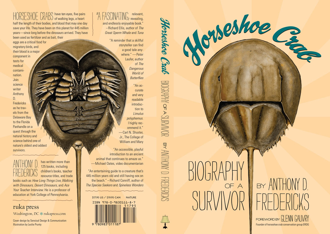 Flat cover with spine and back cover, dorsal and ventral views of horseshoe crab