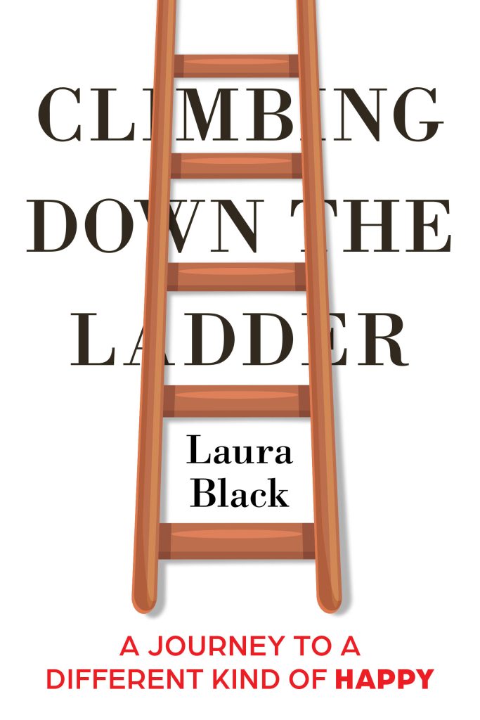 Book cover featuring a ladder partly obscuring the title